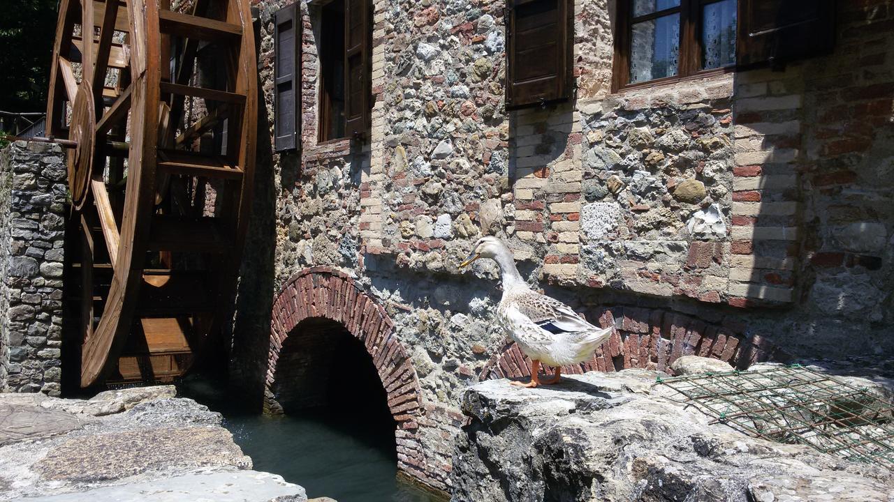 Agriturismo Il Mulino Delle Pile キウズディーノ エクステリア 写真