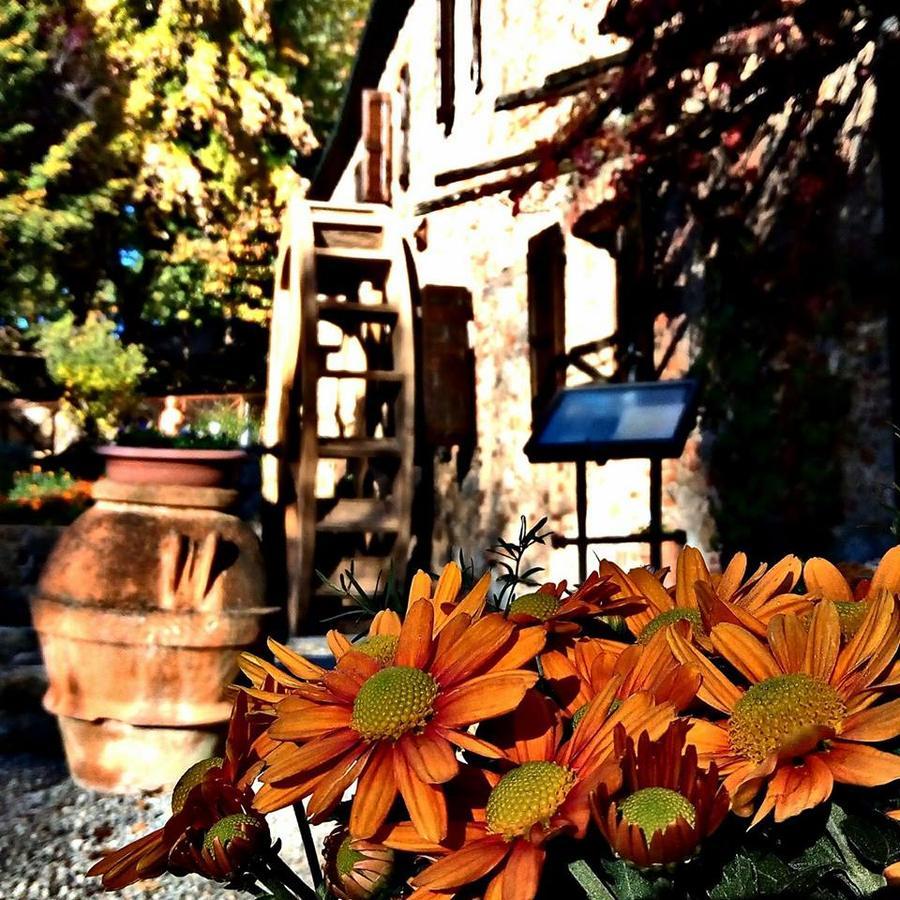 Agriturismo Il Mulino Delle Pile キウズディーノ エクステリア 写真