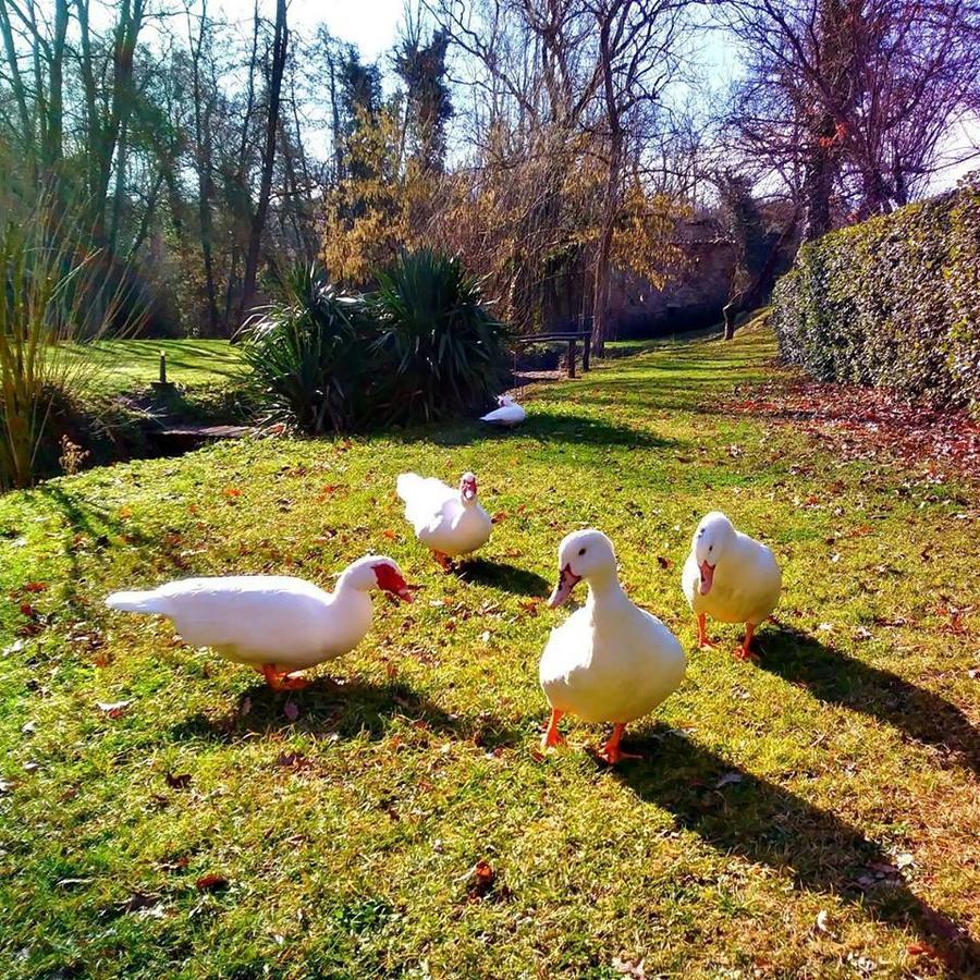 Agriturismo Il Mulino Delle Pile キウズディーノ エクステリア 写真